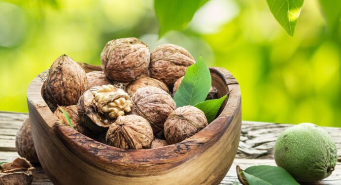 تصویر 3 از خرید و قیمت گردو تازه با پوست سبز با کیفیت ممتاز + قیمت عالی